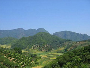 ***寻龙点穴:寻龙点穴***系列,***宝地是有